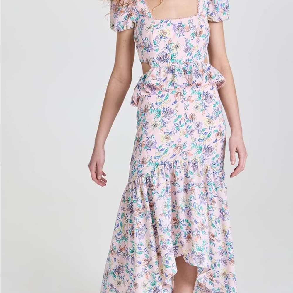 Likely Floral Print Dress in Pink and Blue